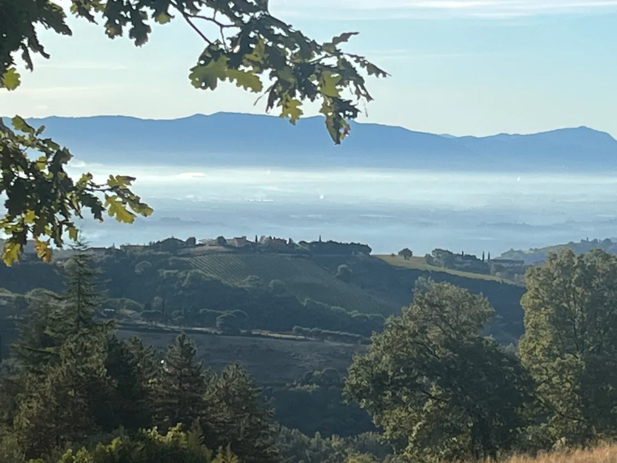 Weites Tal mit Nebelmeer, Hügeln und Eichenzweigen